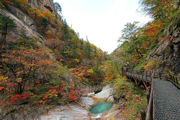 Private Mt.Seorak Nationalpark Tour und Sokcho