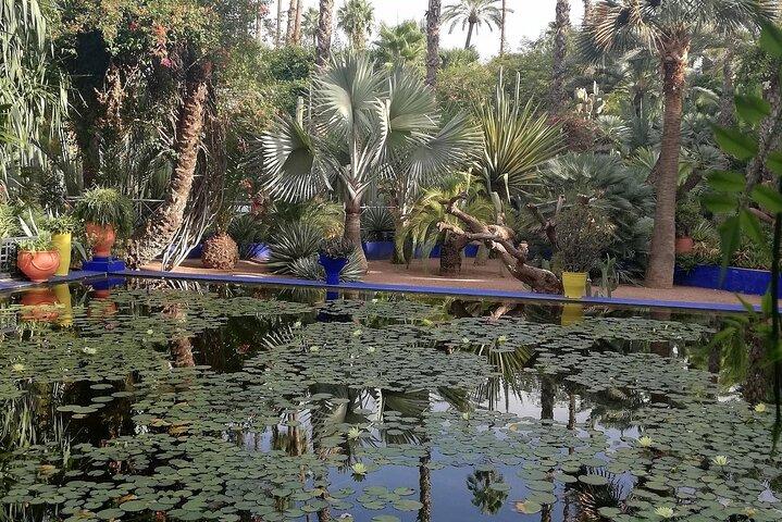 Visita guiada privada de medio día a Marrakech