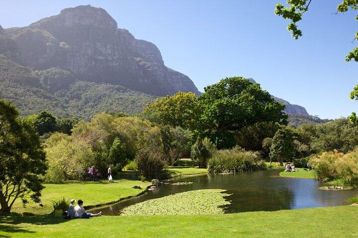 Table Mountain Bokaap and Kirstenbosch Botanical Garden