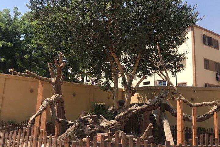 Peregrinación de 5 días en Egipto por el camino de la Sagrada Familia