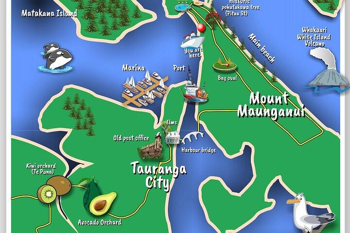 TAURANGA City & Scenic Sightseeing Tour di 2 ore in autobus locale