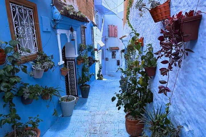 Explore Chefchaouen em passeio de ônibus partilhado a partir de Fes