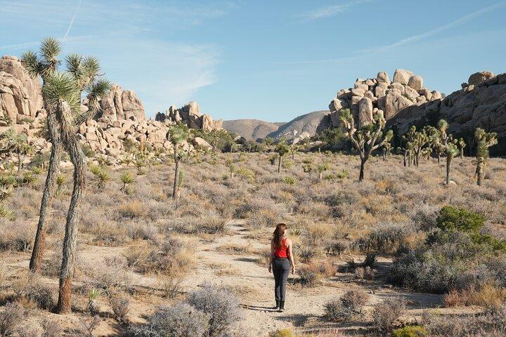 Tagestour zum Joshua Tree Nationalpark ab Los Angeles