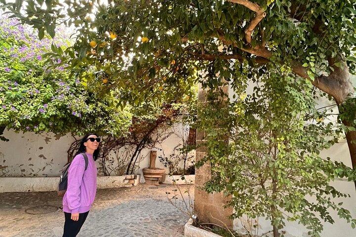 Tour privato di Ronda: la capitale bianca