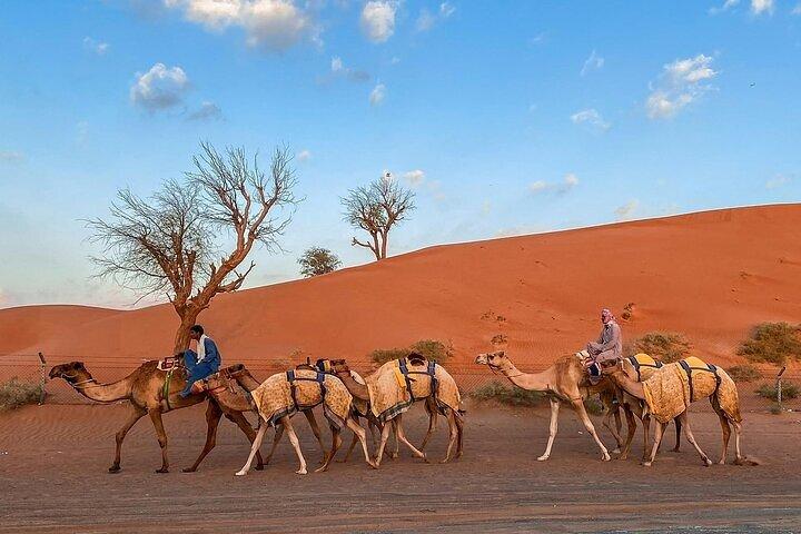 Dubai City Tour e Desert Safari Combo