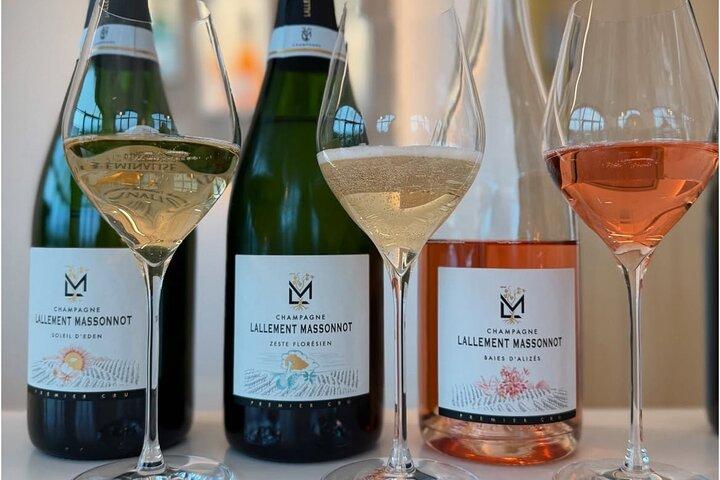 Weinberg und Dreifachverkostung Premier Cru in Montagne de Reims