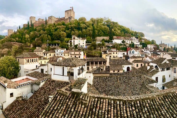 Private Tour of Granada Alhambra with Tickets Included
