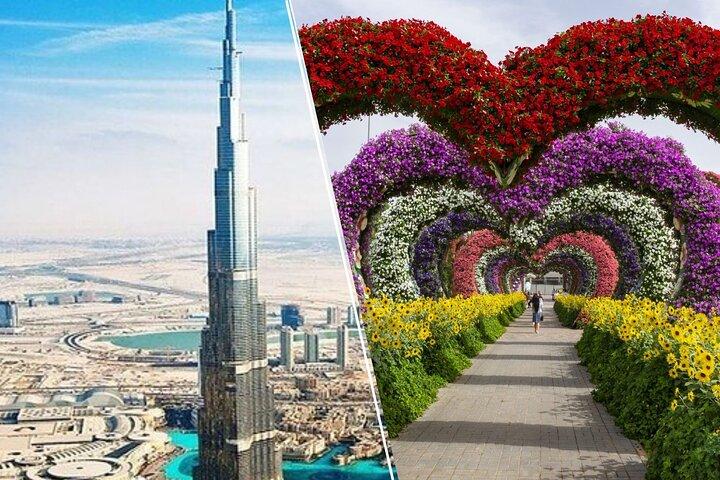 Tour della città di mezza giornata e Miracle Garden