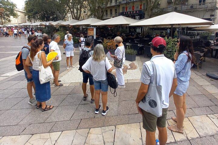アヴィニョンの魅惑の歴史散策ツアー