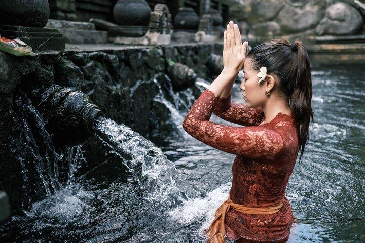 Ubud Private Tour - Wasserfälle, Wassertempel und Reisterrassen