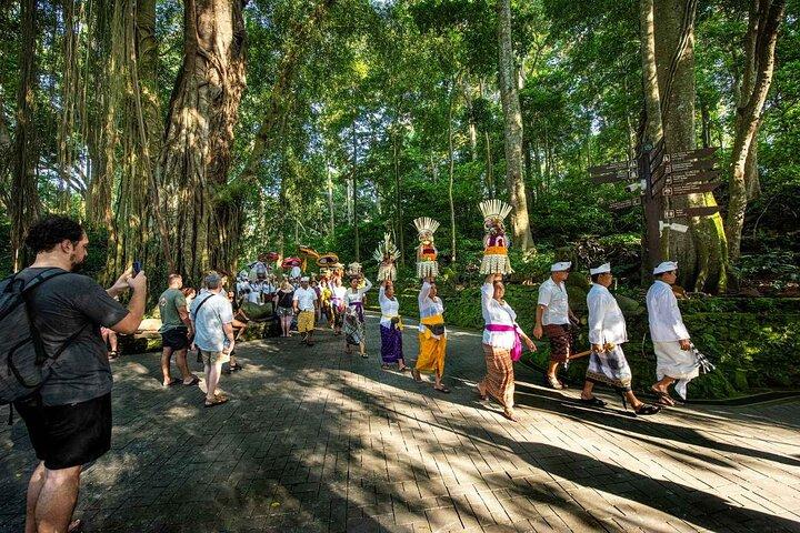 Explore Ubud Rice Terraces, Waterfalls & Balinese Culture