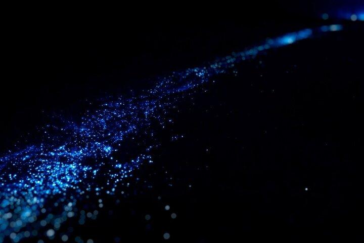 Bioluminescenstur i Huatulco