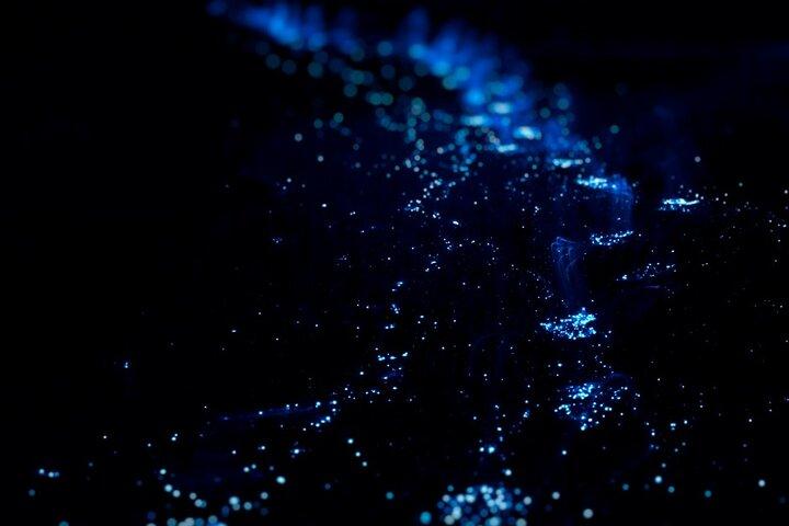 Bioluminescenstur i Huatulco