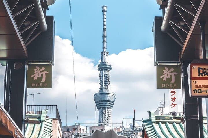 Tokyo Full Day Customize Private City Tour