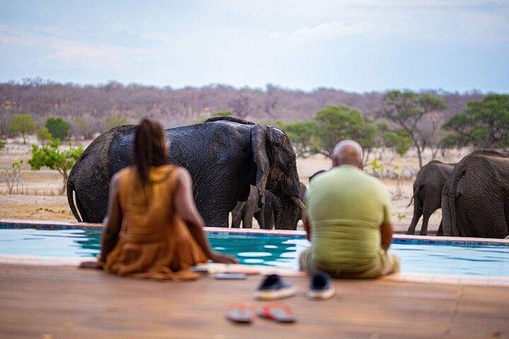 Pakket 6 nachten Hwange National Park, Victoria Falls & Chobe National Park