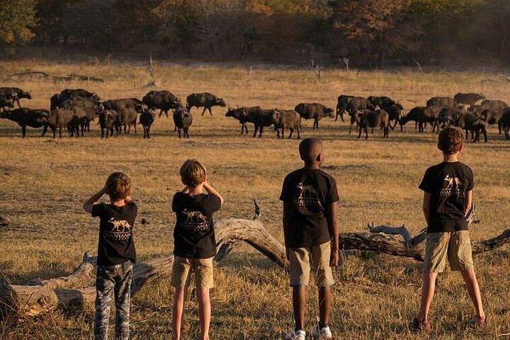 Pakket 6 nachten Hwange National Park, Victoria Falls & Chobe National Park
