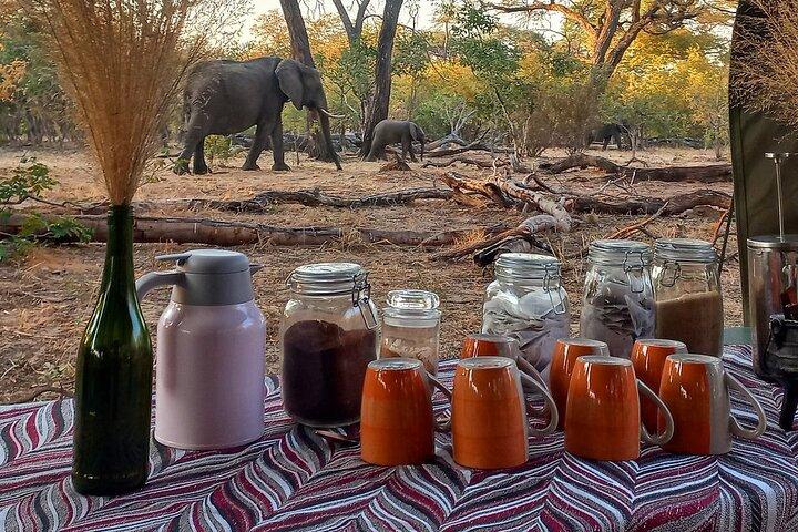 Pakket 6 nachten Hwange National Park, Victoria Falls & Chobe National Park