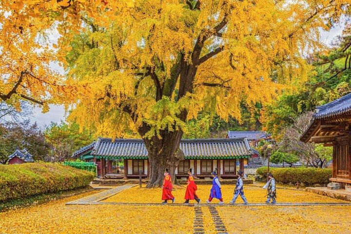 Privat Jeonju Hanok Village - kulinarisk tur