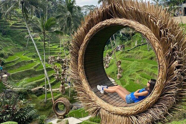 Halvdags privat tur i Ubud