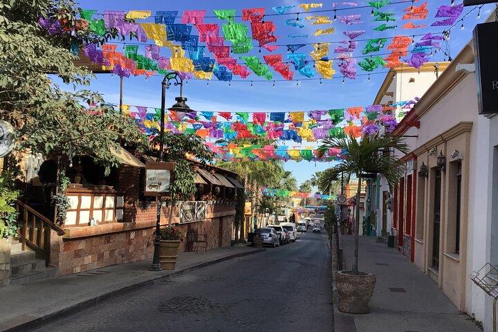 Envägs privat transfer från Los Cabos flygplats till San José del Cabo