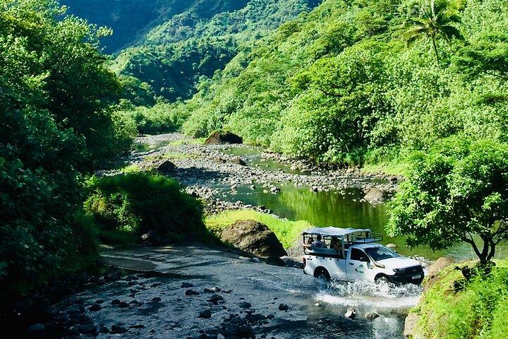 タヒチの中心部を巡る4x4サファリ・ヘレアキマヌ・エクスカーション