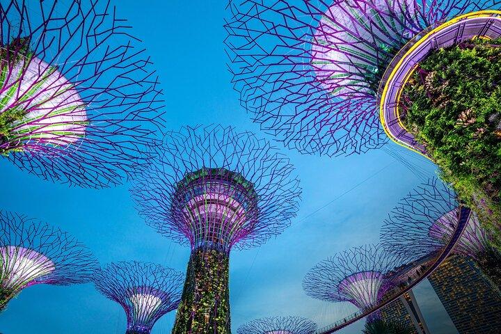 Singapore Night Extravaganza Cruise Light Shows und Satay Delight