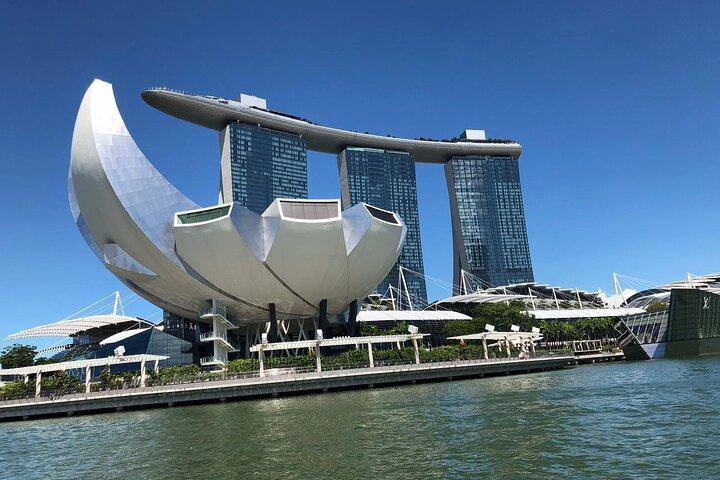 Singapore Night Extravaganza Cruise Light Shows und Satay Delight