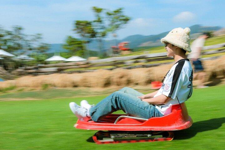 1日ダラット2026の新しい観光名所を発見