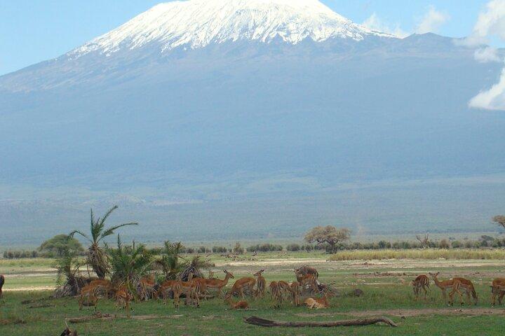 7 giorni da Nairobi a Mombasa Beach Vacanze e Safari Game Drive