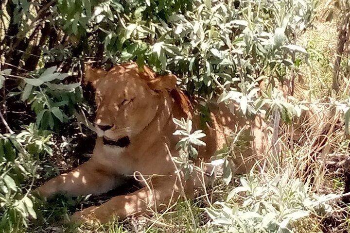 Nairobi Multi day Tour Explore Kenya