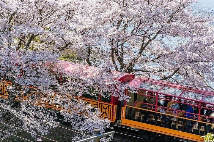 Arashiyama Sagano Romantic Train，Fushimi Inari Taisha & Nara Park