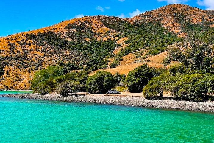 Akaroa Privat dagstur fra Christchurch