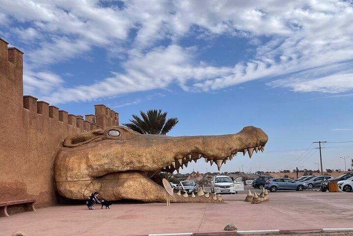マラケシュ: アガディール・クロコ公園、ケーブルカー、ビーチファンへの日帰り旅行