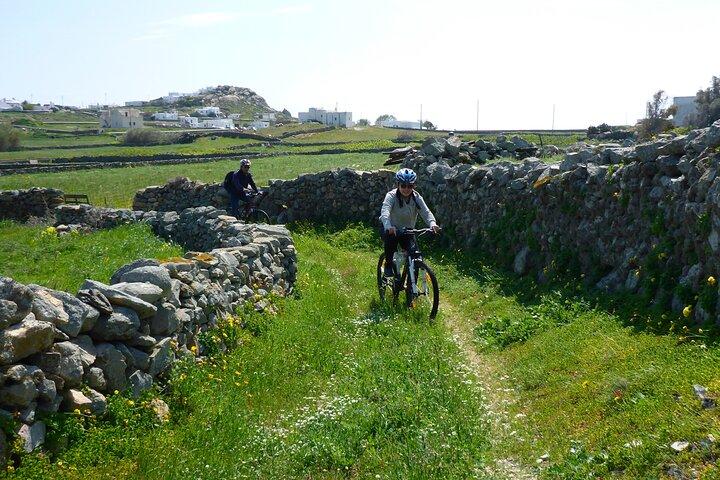 Autentiska Mykonos cykeltur