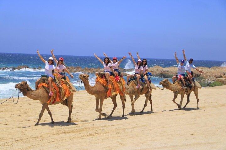 Camel Ride Tour in Los Cabos
