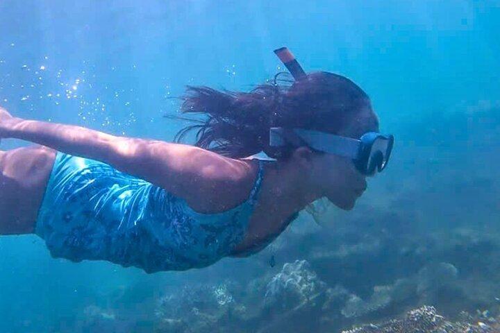 Kajak- og snorkeltur halv dag
