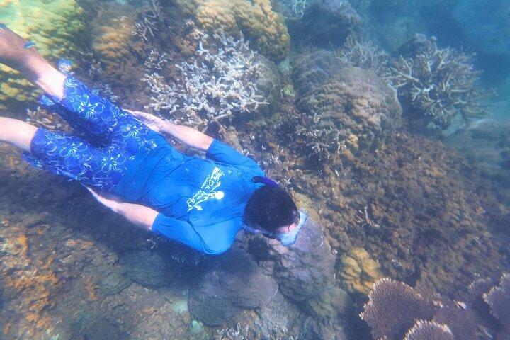 Kajak- og snorkeltur halv dag