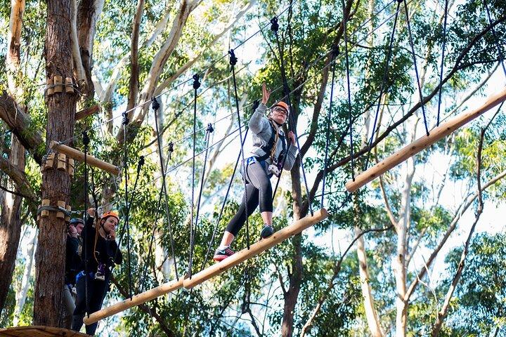 Curso de Cuerdas de Árbol de Sídney Occidental
