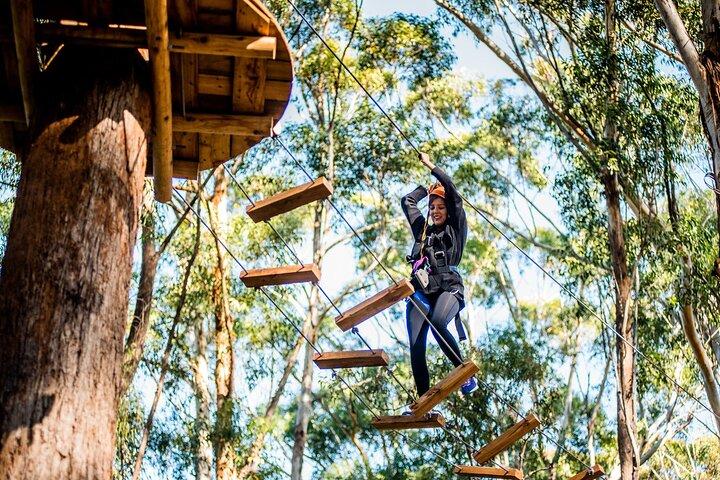 Curso de Cuerdas de Árbol de Sídney Occidental
