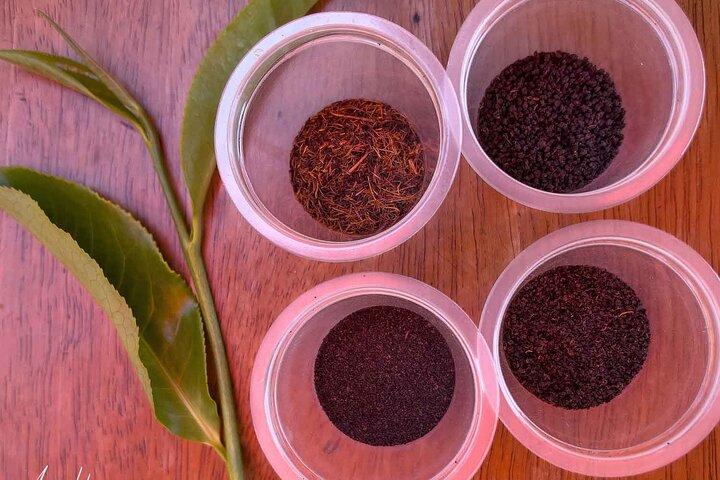 Nairobi Dagtour naar Kiambethu Tea Farm en lunch