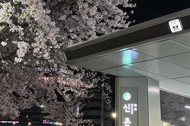 Seoul City Kirschblüte Private Sightseeing Tour