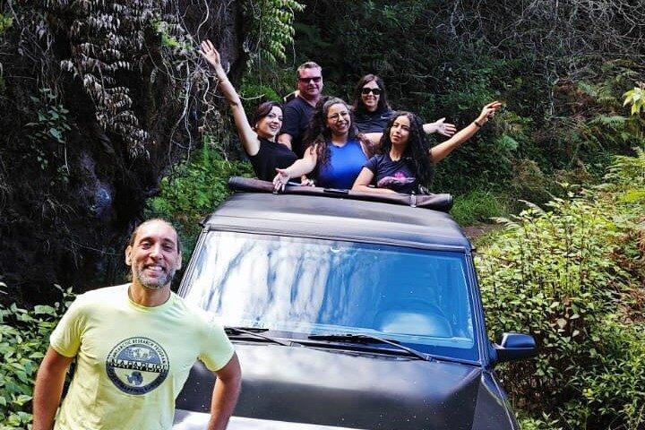 Madeira : Experiência 4WD Skywalk voor Seixal Porto Moniz, Fanal