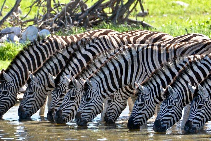 Maasai Mara 5 Day Private Tour Experience