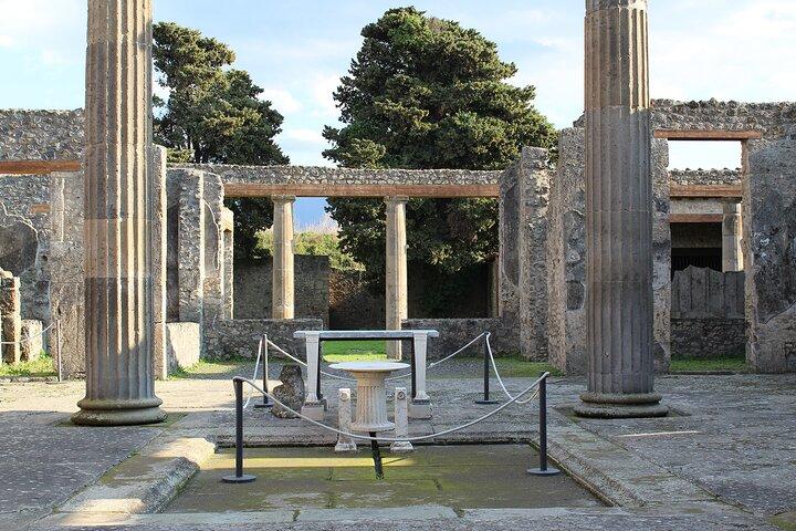 Ancient Pompeii Private Tour with Archaeology Expert Guide