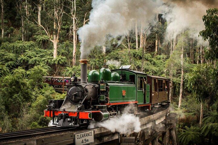 Billy Train og Phillip Island Penguins dagstur