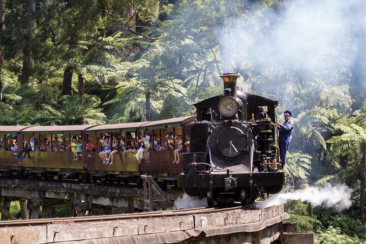 Excursion d'une journée à Puffing Billy Train et Phillip Island Penguin Parade