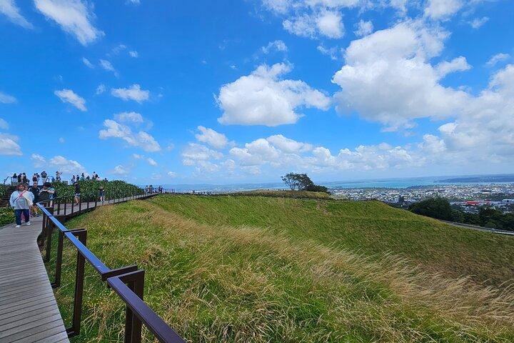 Visite guidée d'une demi-journée à Auckland City
