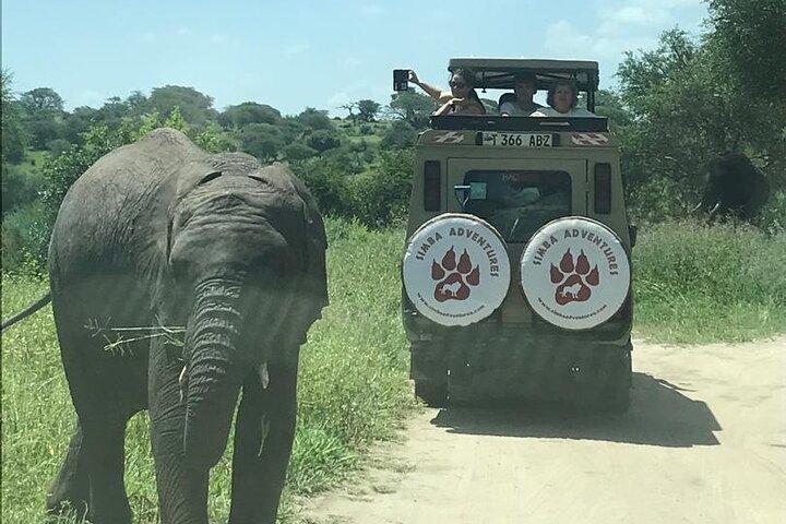 4-dagars äventyrscamping Safari till Tarangire, Serengeti och Ngorongoro