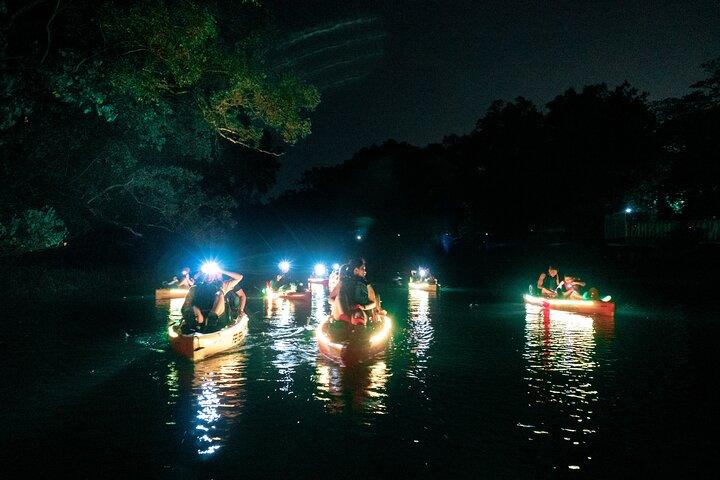 Glow Kayak Night Adventure i Mangroves