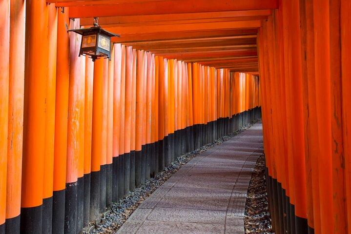 Kyoto & Nara Tagestour : Kinkakuji, Fushimi Inari & Nara Deer Park